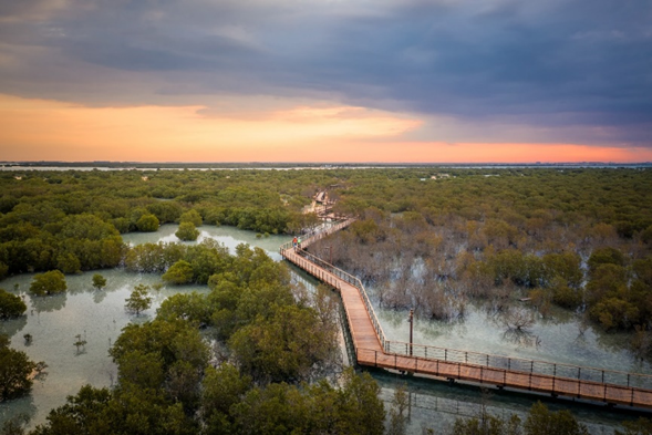<p>Jubail Mangroves Park</p>