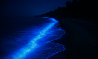 Glowing Mattu Beach