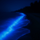 Glowing Mattu Beach