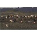 Kering, Conservation International and Inditex publish 2024 Annual Report for Regenerative Fund for Nature